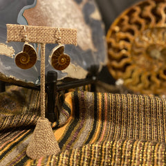 Madagascar Ammonite / Sterling Silver Dangle Earrings Madagascar Ammonite / Sterling Silver Dangle Earrings