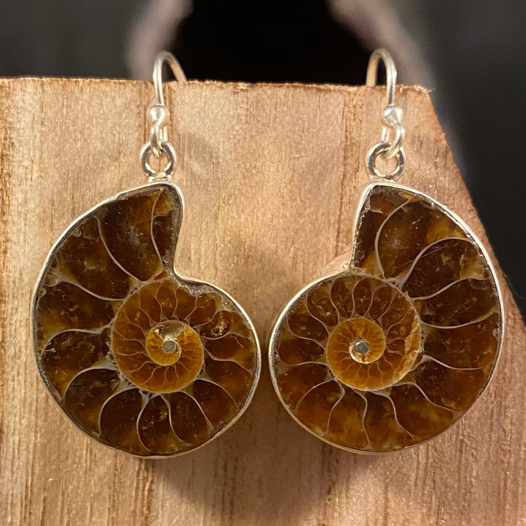 Madagascar Ammonite / Sterling Silver Dangle Earrings Madagascar Ammonite / Sterling Silver Dangle Earrings