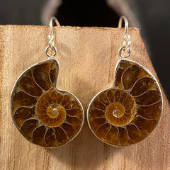 Madagascar Ammonite / Sterling Silver Dangle Earrings Madagascar Ammonite / Sterling Silver Dangle Earrings