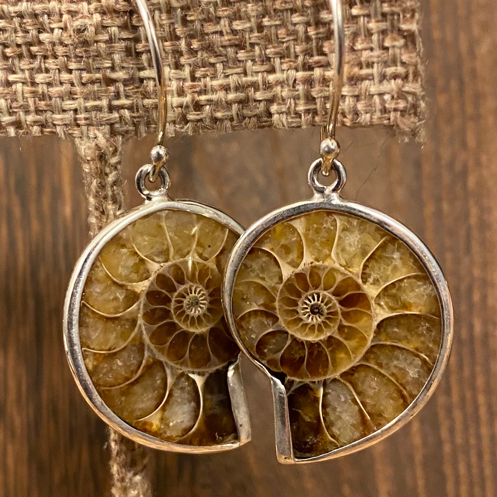 Madagascar Ammonite / Sterling Silver Dangle Earrings Madagascar Ammonite / Sterling Silver Dangle Earrings
