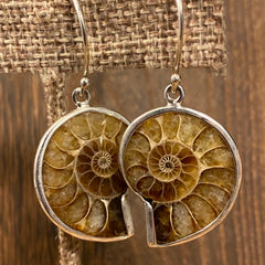 Madagascar Ammonite / Sterling Silver Dangle Earrings Madagascar Ammonite / Sterling Silver Dangle Earrings