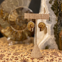 Madagascar Ammonite / Sterling Silver Dangle Earrings Madagascar Ammonite / Sterling Silver Dangle Earrings