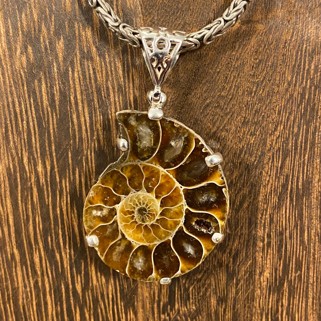 Ammonite / Sterling Silver Pendant Ammonite / Sterling Silver Pendant