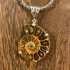 Ammonite / Sterling Silver Pendant Ammonite / Sterling Silver Pendant