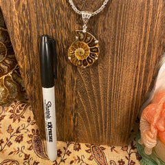 Ammonite / Sterling Silver Pendant Ammonite / Sterling Silver Pendant