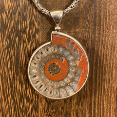 Timor Ammonite / Sterling Silver Pendant Timor Ammonite / Sterling Silver Pendant