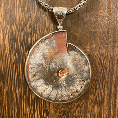 Timor Ammonite / Sterling Silver Pendant Timor Ammonite / Sterling Silver Pendant