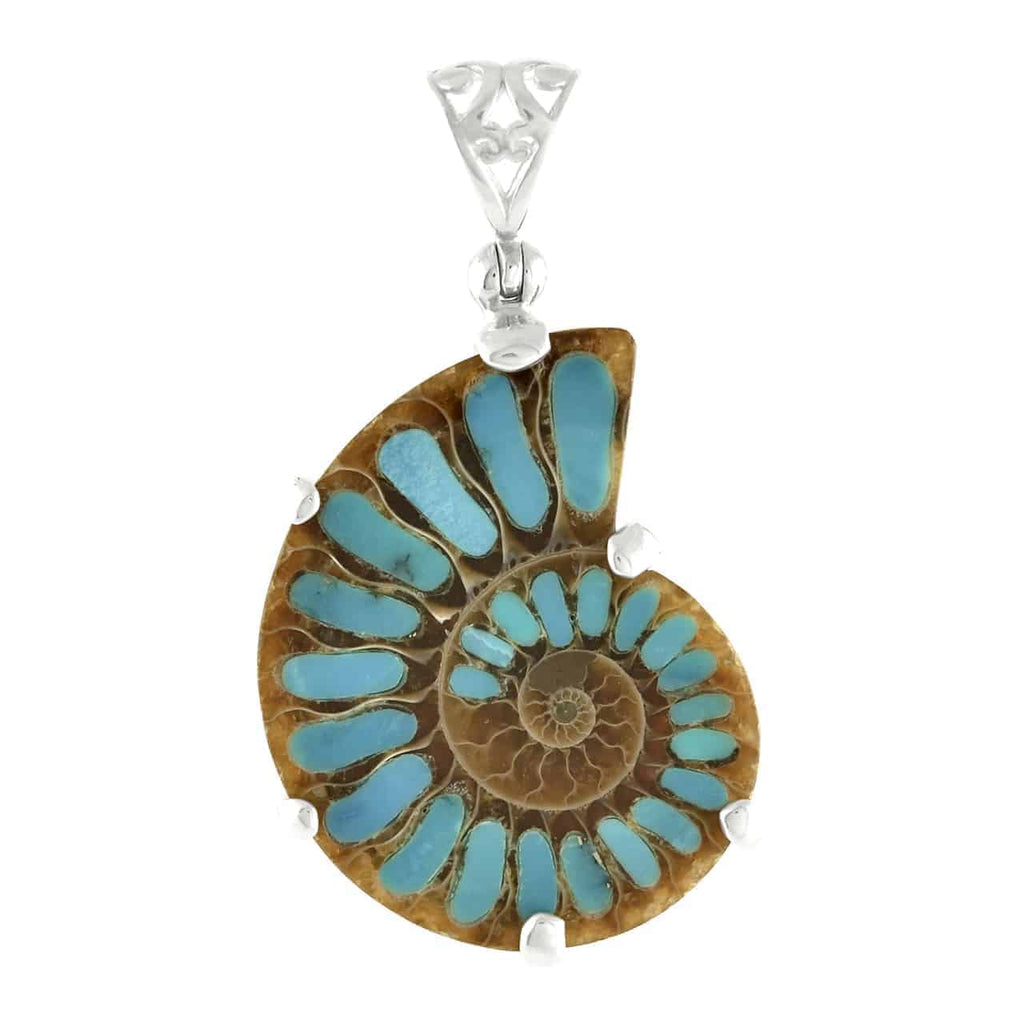 Ammonite Pendant w/ Turquoise Inlay Ammonite Pendant w/ Turquoise Inlay