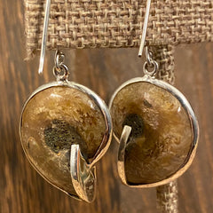 Madagascar Ammonite / Sterling Silver Dangle Earrings
